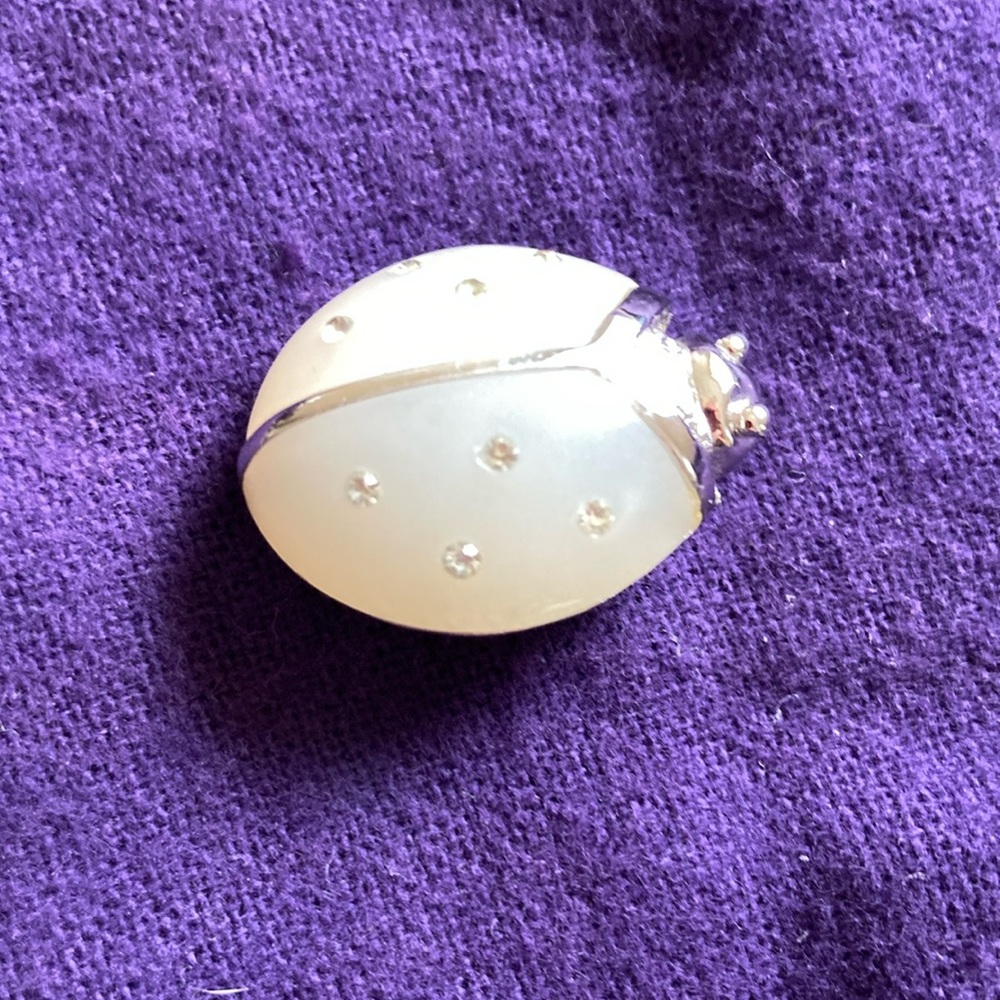 Vintage Avon ladybug 🐞 pin